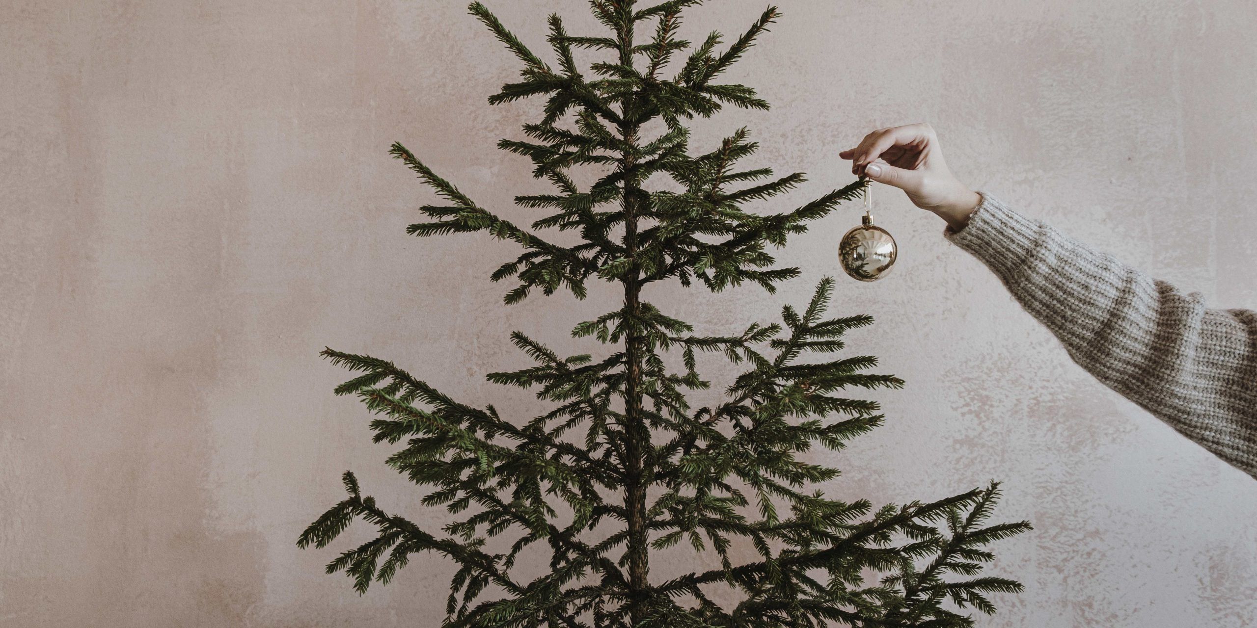 árbol de navidad sostenible