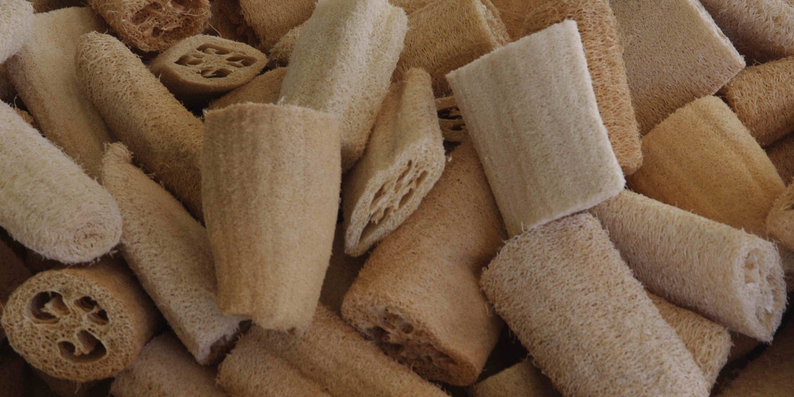 luffa